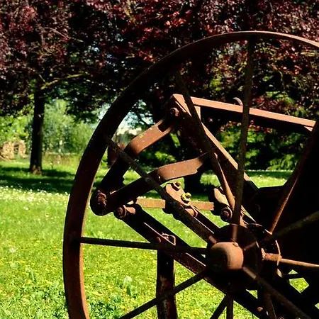 Gasthuis Rosso Di Sera Novello